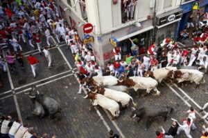 epa05416395 Bulls of the ranch Jose Escolar Gil run through the Mercaderes bend at the Festival of San Fermin 2016 in Pamplona, Spain, 09 July 2016. The festival, locally known as Sanfermines, is held annually from 06 to 14 July in commemoration of the city's patron saint. Hundreds of thousands of visitors from all over the world attend the fiesta. Many of them physically participate in the highlight event - the running of the bulls, or encierro - where they attempt to outrun the bulls along a route through the narrow streets of the old city.  EPA/JAVIER LIZON