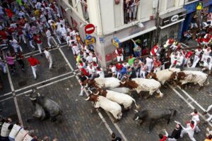 epa05416395 Bulls of the ranch Jose Escolar Gil run through the Mercaderes bend at the Festival of San Fermin 2016 in Pamplona, Spain, 09 July 2016. The festival, locally known as Sanfermines, is held annually from 06 to 14 July in commemoration of the city's patron saint. Hundreds of thousands of visitors from all over the world attend the fiesta. Many of them physically participate in the highlight event - the running of the bulls, or encierro - where they attempt to outrun the bulls along a route through the narrow streets of the old city. EPA/JAVIER LIZON