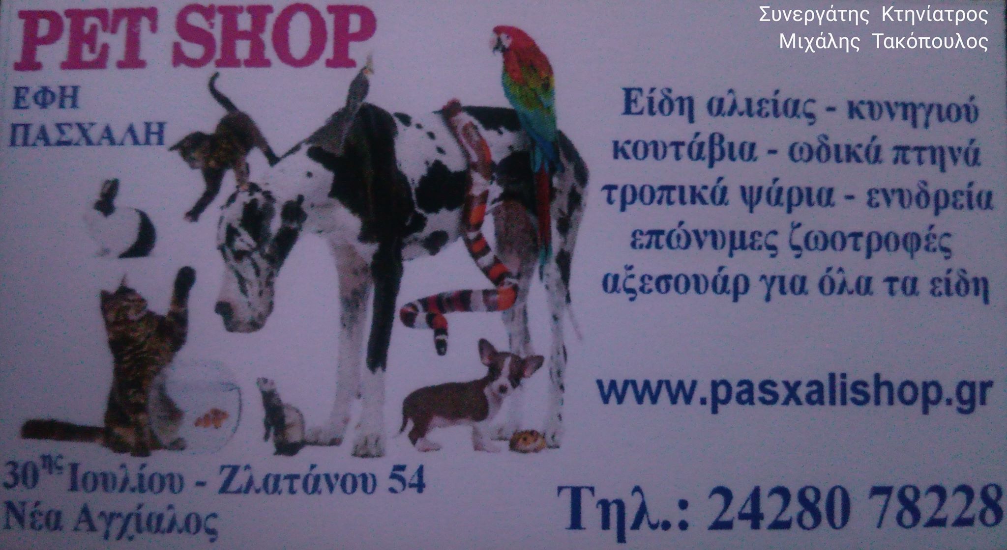 Αρχική Αρχική