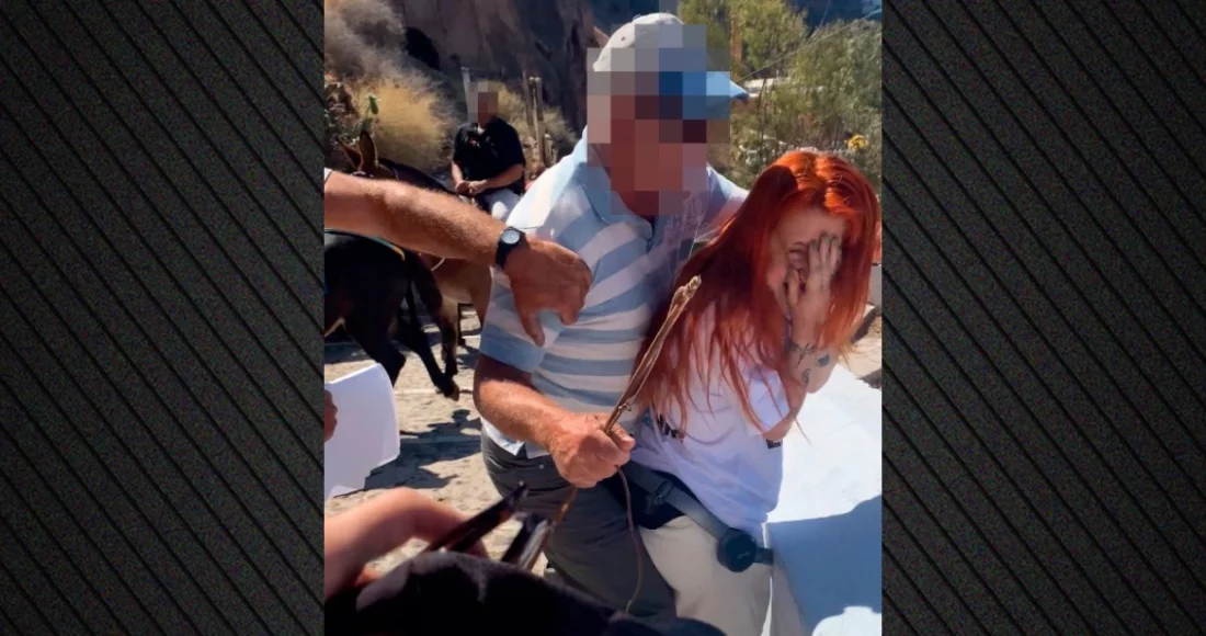 Αγωγιάτες επιτέθηκαν σε ακτιβίστριες στη Σαντορίνη που διαμαρτύρονταν για τη χρήση γαϊδουριών στη μεταφορά τουριστών…